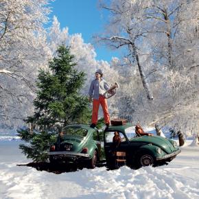 Nachbar im Winter